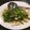 ayndrila dutta's cooksnap of when they made Kang Kao Stir Fried - Kalmi Saag/ Morning Glory/ Water Spinach.