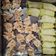 Cooksnap dari Nurul Ummi Rofiah untuk resep Siomay dimsum ayam udang
