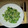 El cooksnap de Verónica Salas cuando hizo Brócoli revuelto.