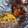 Cooksnap dari Caecil Lia untuk resep Ubi Madu Cilembu Oven