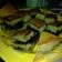 Cooksnap dari Emak Nabila untuk resep Martabak manis alias Terang bulan (teflon)
