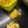 Krupa Ashwin Lakhani's cooksnap of when they made મેંગો આઈસક્રીમ (Mango Icecream Recipe In Gujarati).