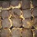El cooksnap de Alba Sánchez cuando hizo Tortas negras.