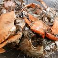Cooksnap dari Cuci Yanti untuk resep Kepiting Lada Hitam