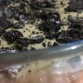 صورة من Asrar.17، شاركها بعد تجربة وصفة حلا طبقات الاوريو 🍪💕