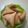 Fady SBT's cooksnap of when they made Samosa.