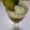 Anamta Azeem's cooksnap of when they made Cocumber lemonade.