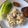 Cooksnap dari ekitchen untuk resep Nasi liwet rice cooker #BikinRamadanBerkesan #seninsemangat