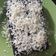 Cooksnap dari elisabeth Ria untuk resep Brownies Oreo Kukus (Hanya 3 bahan)