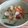 Cooksnap FZ Adzlin semasa beliau membuat Masak Lemak Putik Jagung.