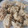 Cooksnap dari rini utami untuk resep Simple Gyoza ala fe