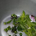 Cooksnap dari Irma Nurliyanti untuk resep Karedok Leunca Khas Sunda