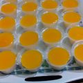 Cooksnap dari Mama Cinta untuk resep Puding sutra vla mangga super simple