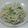 El cooksnap de Lady Marmalade cuando hizo Pasta con flores de zucchini.