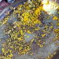 El cooksnap de Rodin cuando hizo Paella de pato, setas y foie.