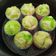 Cooksnap dari Icha Marisa untuk resep Bolu Kukus Mekar anti gagal