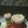 Nipi Arora's cooksnap of when they made Rich Plum custard Pudding.