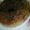 El cooksnap de CStefi cuando hizo Budín de pan (con pepitas de chocolate).