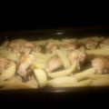El cooksnap de Jacc Jacki cuando hizo Alas de pollo al ajillo.