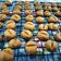 Cooksnap dari Sri Puspita untuk resep Coffee Cookies