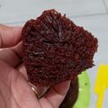 Cooksnap dari Nisa Aulia untuk resep Bolu Karamel Kukus (Sarang Semut) Anti Gagal