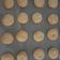 El cooksnap de tinapalatina cuando hizo Galletas clásicas de mantequilla.