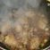Cooksnap dari vebs untuk resep Ayam rica rica ala resto 😁