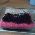 Cooksnap dari agus untuk resep #13. Bolu kukus rainbow