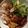 Hayley Bradley's cooksnap of when they made Whole Roast Chicken with Lemon & Herbs.