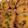 sashraf.sa1's cooksnap of when they made Potato Skins.