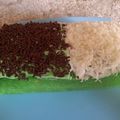 Cooksnap dari Rere Reza Adesya untuk resep Bolu pisang pandan keju (dikukus)