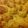 B AintMisinNoMeals's cooksnap of when they made Sloppy Joe Tater Tot Casserole.
