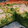 El cooksnap de Melina Maruca cuando hizo Tarta integral de brócoli.