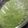 Naureen Khan Lodhi's cooksnap of when they made Coriander ki chutney.