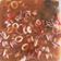 Cooksnap dari S.G.Hidayat untuk resep Cumi pedas saus tiram