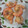 Cooksnap dari Nara untuk resep 56. Udang Goreng Tepung, Awet Crispy no MSG