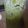 Mrs.Martinez❤'s cooksnap of when they made Weight loss green juice.