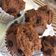 Cooksnap dari Yuliana Saraswati untuk resep Bolu Kukus Coklat Anti Bantat