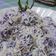 Cooksnap dari Mediaria Waty untuk resep Klepon Ubi Ungu