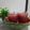 Minaxi Bhatt's cooksnap of when they made तरबूज का जूस रेसिपी(tarbuj ka juice recipe in Hindi).