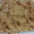 El cooksnap de eve_tuequesa cuando hizo Chocotorta❤.