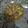 Mrs. Rashid's cooksnap of when they made Mutton Achari!.