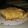 El cooksnap de LeTy LoVe cuando hizo Crumble de Manzana.