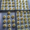 Cooksnap dari Tika Hartini untuk resep Semprit Susu 3 Bahan mama Ayuma