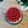 crotsos's cooksnap of when they made Strawberry Cheesecake.