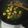 Cooksnap dari @rhuna_chan untuk resep Oseng kacang panjang dan tahu (Simple bgt!!)