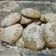 El cooksnap de Patricia Copello cuando hizo Galletas de almendras inspiradas en la tarta de Santiago 🇪🇸.
