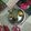 Sundari Mani's cooksnap of when they made எலுமிச்சம் பழம் ஜூஸ் (Elumicham pazham juice recipe in tamil).