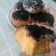 Cooksnap dari Puan Aisha untuk resep Donat Labu Kuning, LEMBUT👍(toping Oreo)