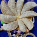 Vibhooti Jain का कुकस्नैप जब उन्होंने गुजिया (Gujiya recipe in Hindi) बनाया था।